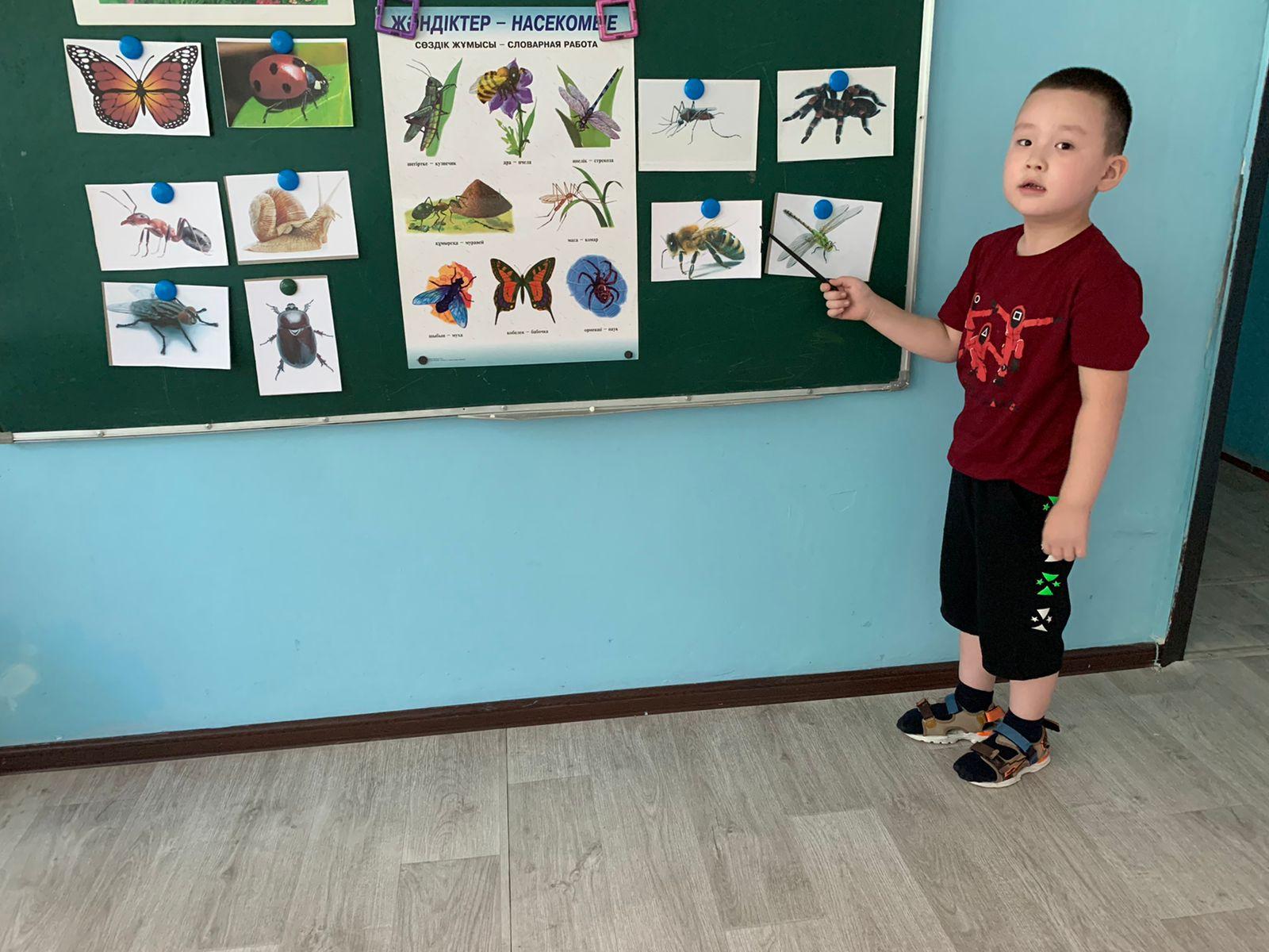 «Жәндіктер әлемі»