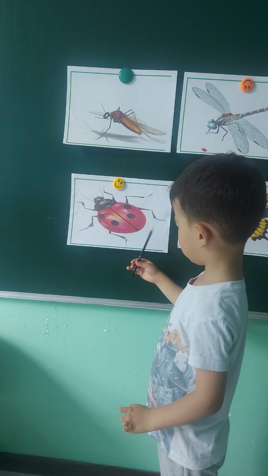 Ұйымдастырылған іс-шара . Тақырыбы "Жәндіктер әлемі"